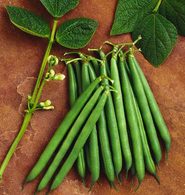green_beans.jpg